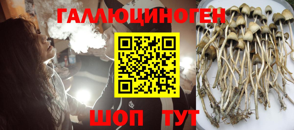 Псилоцибиновые грибы GOLDEN TEACHER Минеральные Воды